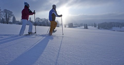 STMediaCH's tweet photo. Einzigartig! Gibt es nur in den #FranchesMontagnes! #SnowUp - Das grosse Volksfest für Winterwanderer, Langläufer, Schneeschuhläufer und Hundeschlittenfahrer.....inmitten der grossen weiten weissen Juraweidelandschaft! 2.2.20.
@Jura3Lacs
https://t.co/2KxI6svnMm https://t.co/GHpgPgINvP