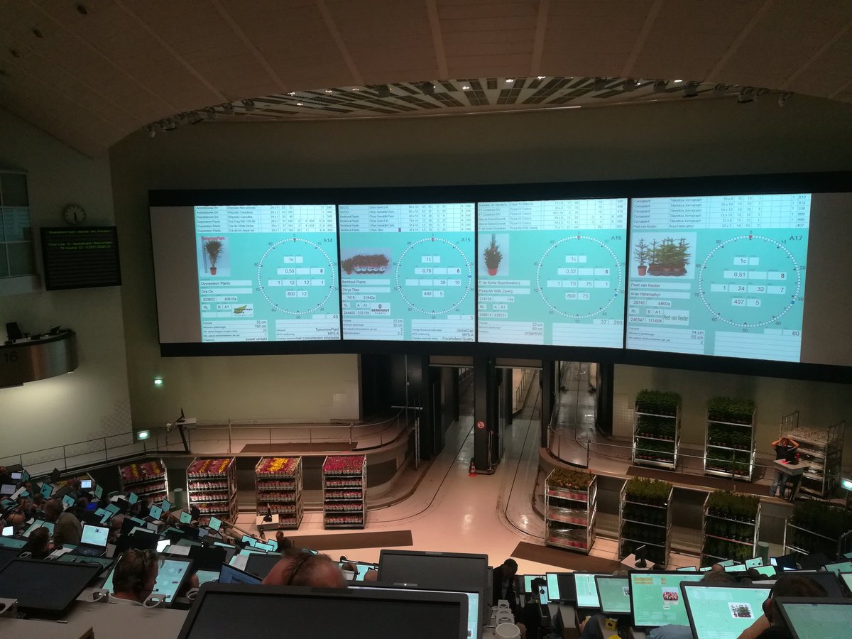 Pilot TomorrowPlant (exclusief product) vandaag weer gestart <a href="/FloraHolland/">Royal FloraHolland</a> Aalsmeer. Iedere dinsdag beschikbaar!