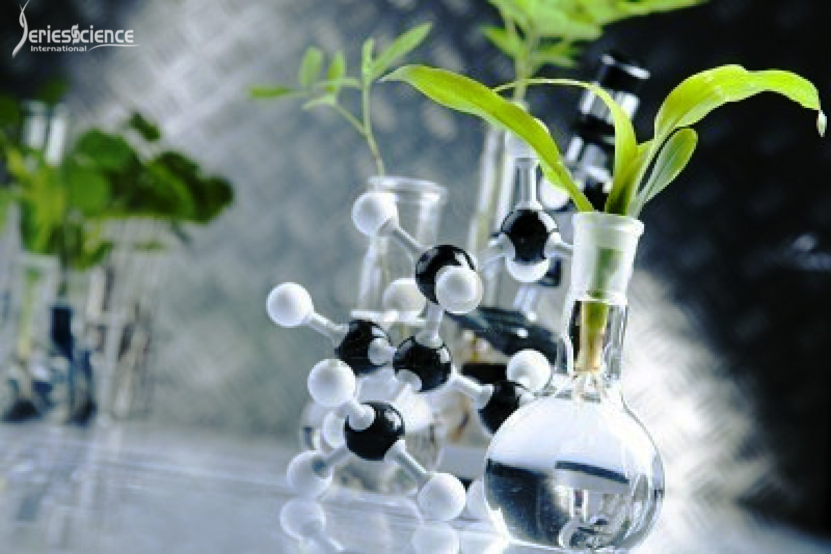 seriesbotany's tweet photo. #Biochemistry is the #study of #chemicals reactions in #living beings, and of biological molecules in #general . It is important to cell #Biology and physiology. #biotechnology #plants #nutrition #Agricultura #JSBES #seriesscience
For more info: https://t.co/CiBMKRVeJv https://t.co/992CVXpdj1