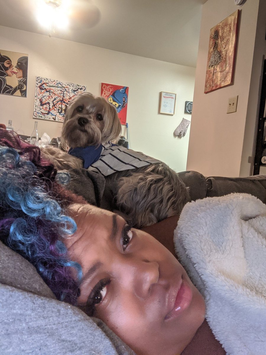 JustCuriousPoe's tweet photo. all this couch ....he wanna park his ass on my shoulder #furbabyproblems π https://t.co/tsUvs2QqCG