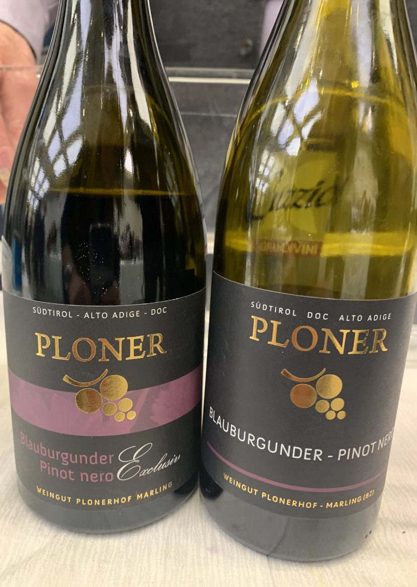 missaglia_sara's tweet photo. Weingut Plonerhof a Marlengo: meleti riconvertiti in vigneto da Erhard e Herta Tutzer. Il maso Ploner non smette di raccontare la sua storia attraverso vini ricchi di mineralità e eleganti. 30.000 bottiglie prodotte, che finiscono in fretta #weingutplonerhof #tutzer #ploner https://t.co/4efcTPPtvp