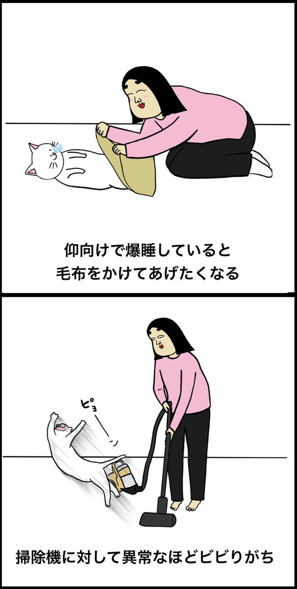 猫を飼っている人あるある 