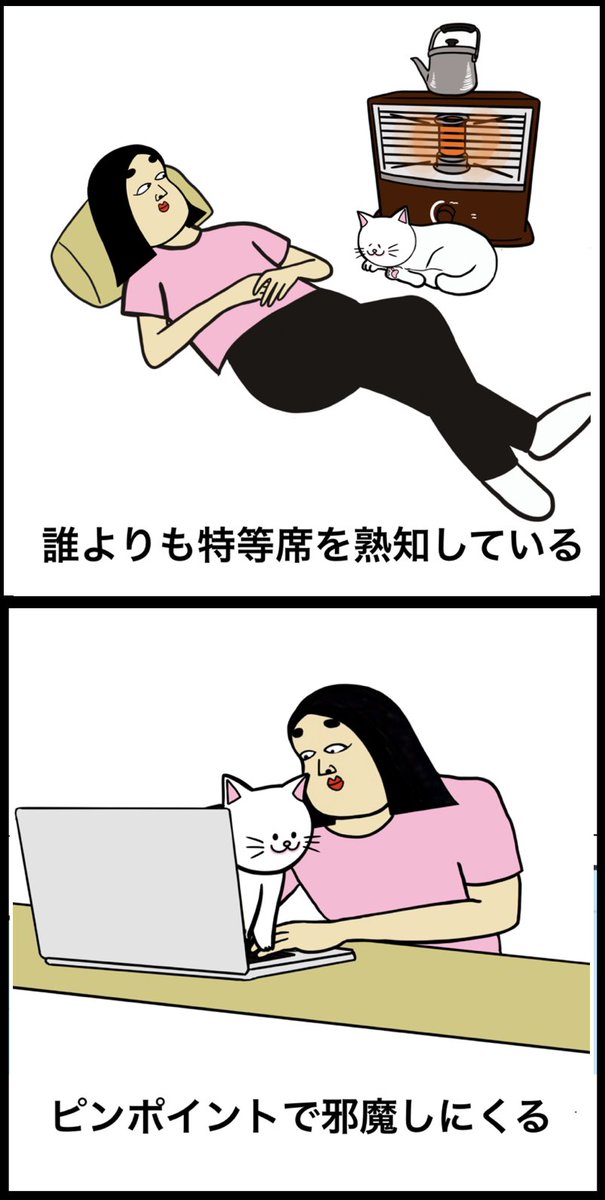 猫を飼っている人あるある 