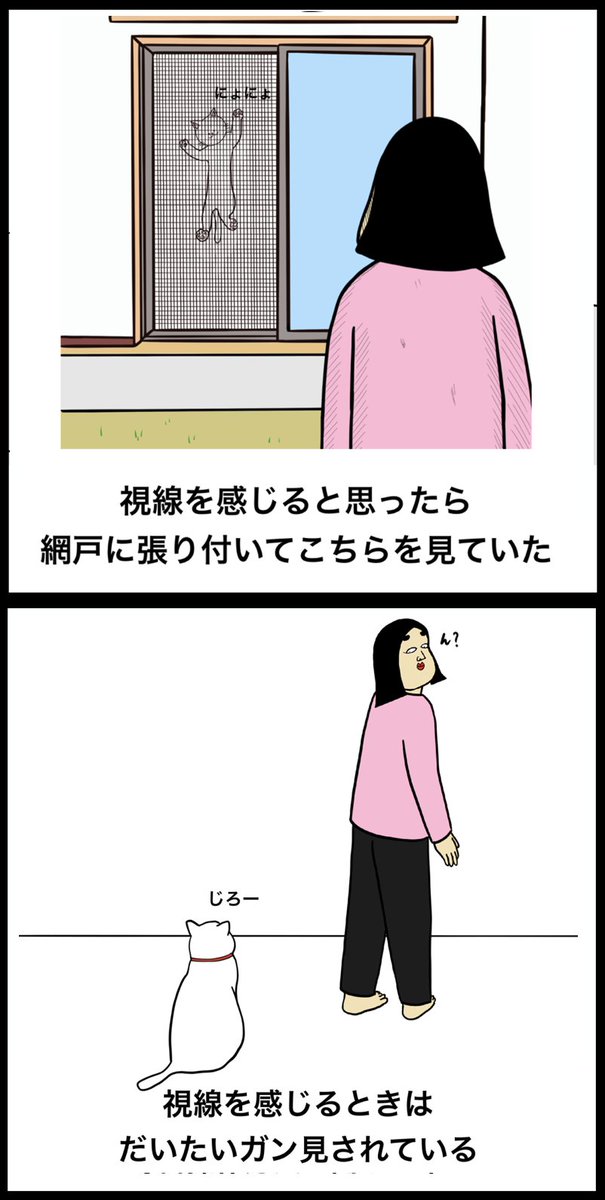 猫を飼っている人あるある 