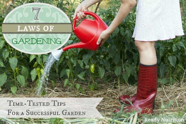 ReadyNutrition's tweet photo. Follow these time-tested gardening tips straight from the experts! https://t.co/CHLERLTNyy https://t.co/UVd9hDMJI8