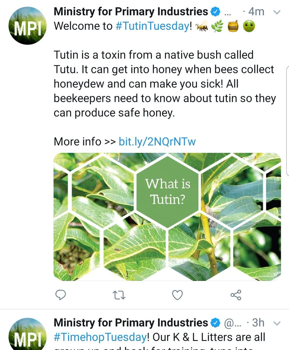 dairymanNZ's tweet photo. I don't think you can have two hashtags for one day from the same account, this is just #TurmoilTuesday https://t.co/qg9HqU80Zz