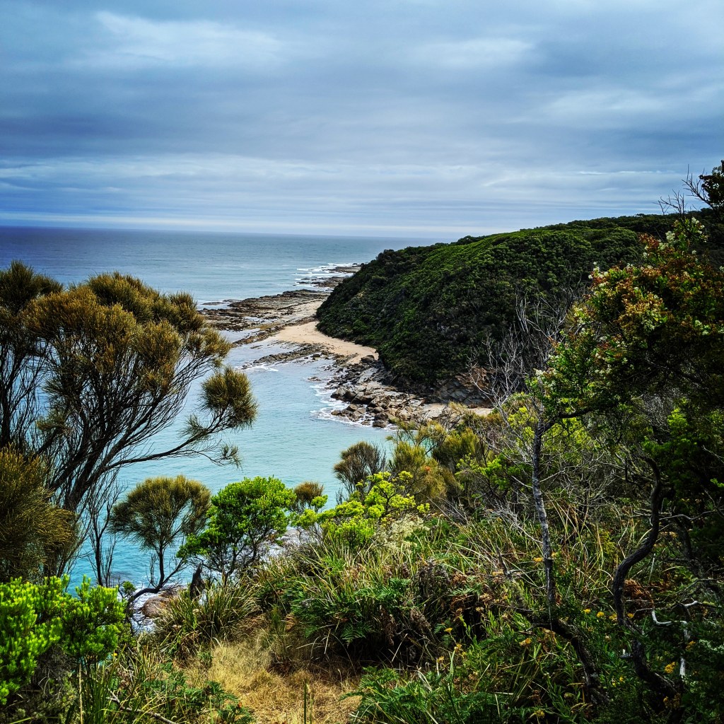 lozlick's tweet photo. Oxfam Trailwalker 2020 – Cape Otway Circuit Training, 27km https://t.co/IzzHHVwzh1 https://t.co/xDhx9iG3ie