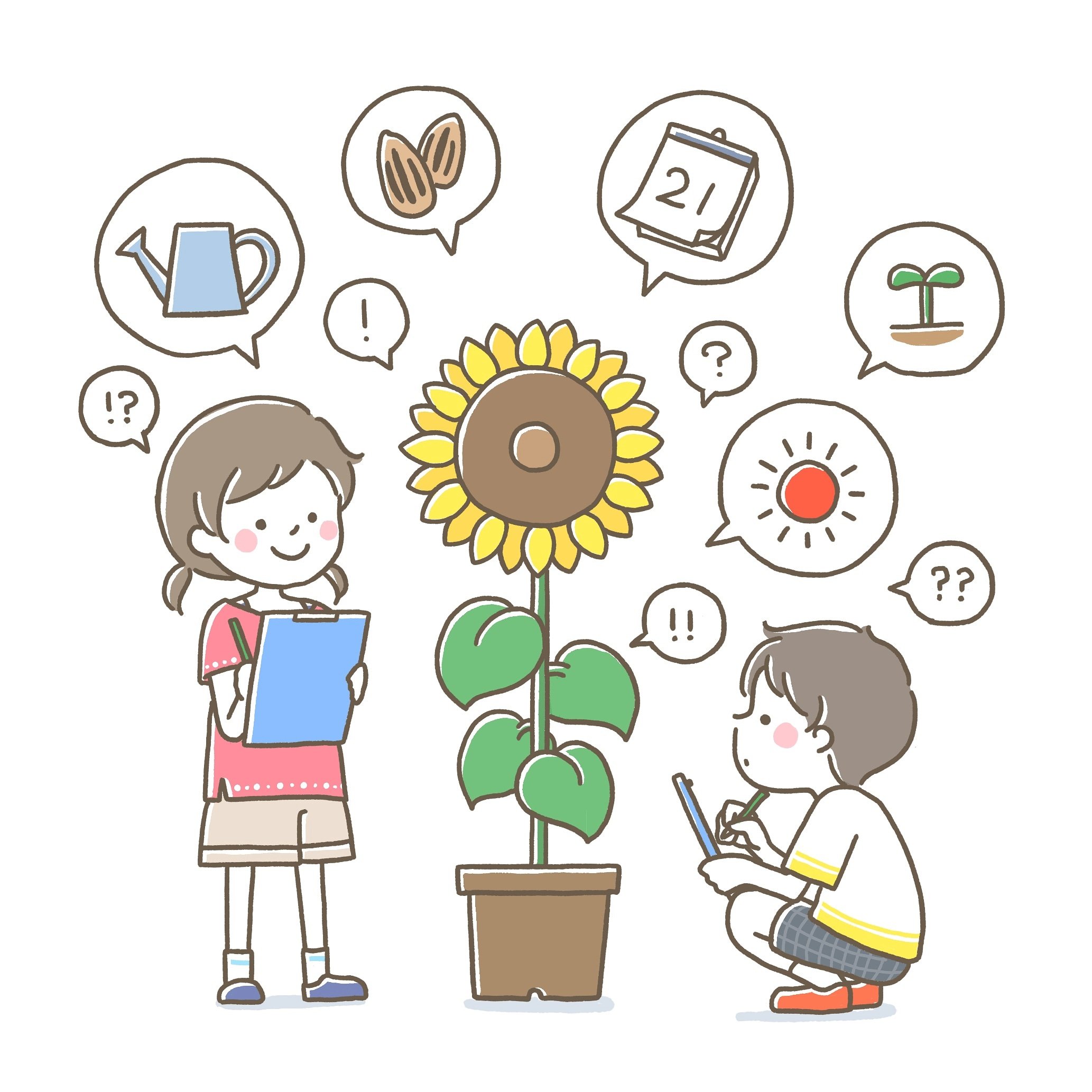 Twitter 上的 なか 池野 季節外れのイラスト笑 ひまわりの観察 落書きしてたのを描き描き Illustration Illustrator イラスト イラストレーション イラストレーター ひまわり 小学生 小学校 自由研究 観察 女の子 男の子 夏休み T Co