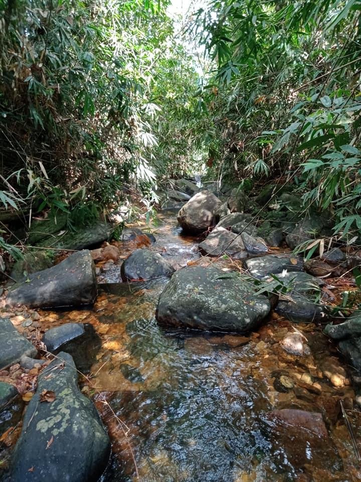 AjitaKad's tweet photo. On Jan 27, 2020 Rainforest Protectors Trust #rainforestprotectorstrust together with #MASActive Trading (Pvt) Ltd successfully completed the permanent protection of a 2 acre privately held pristine #rainforest bordering #Sinharaja World Heritage Rainforest. #lka https://t.co/PaRo44u4FU
