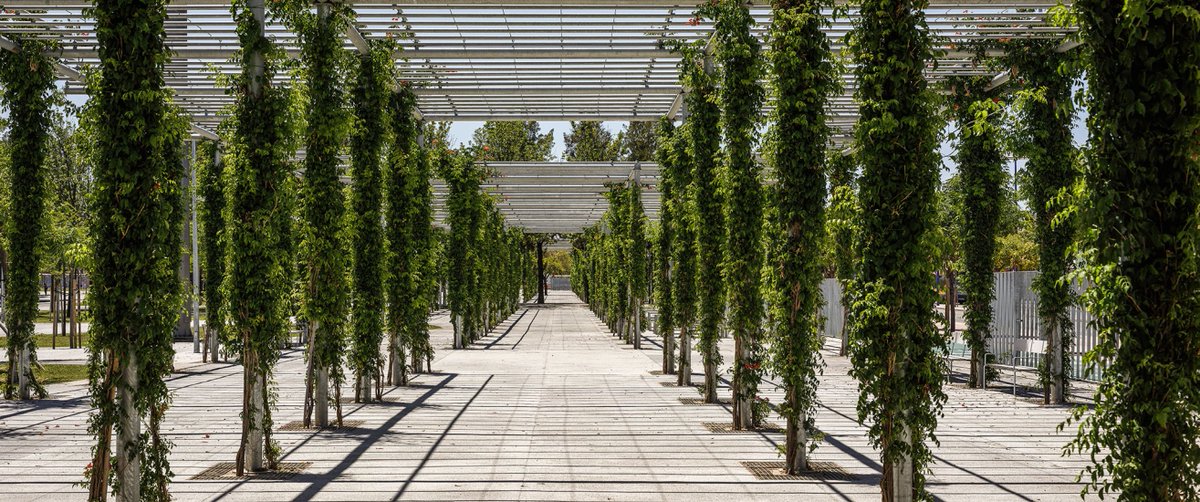 <a href="/fernando_alda/">Fernando Alda</a> The Sevillian architect Guillermo Vázquez Consuegra desined this new green area in Seville. The project resolves after 25 years of abandonment a very prominent space of the city, which belonged to the former Universal Exhibition of 1992.
