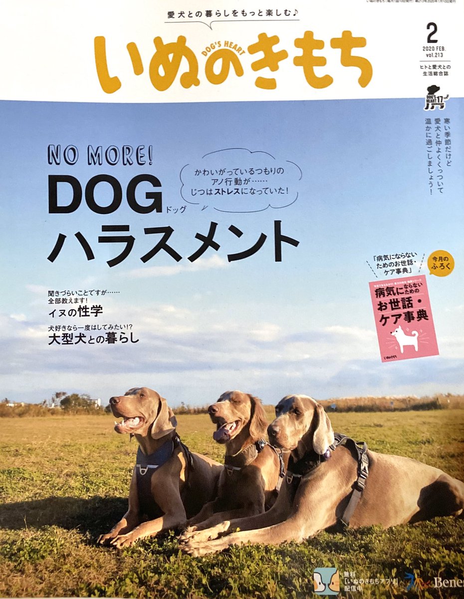 【お仕事】
いぬのきもち2月号「さよならまでにしたい11のこと」の挿絵を18点描かせていただきました!おいぬと人をたくさん描きました?購読してらっしゃる方はぜひ見てみてください〜! 