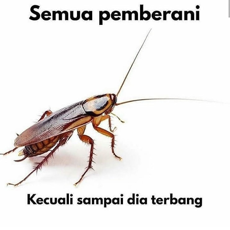NikAnizam's tweet photo. https://t.co/f1Nd4w6KpA