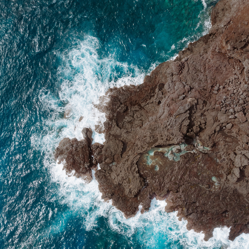 We are feeling really excited for growth in BC!! Are you? 

#industry #sookebc #sessions #coupon #cannabisindustry #seeds #flower #terpenes #cannabisstrain #instahemp #instacannabisindustry #instacbd