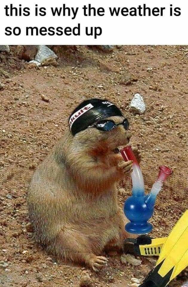 judith lynn clark (@judithlynnclark) on Twitter photo 