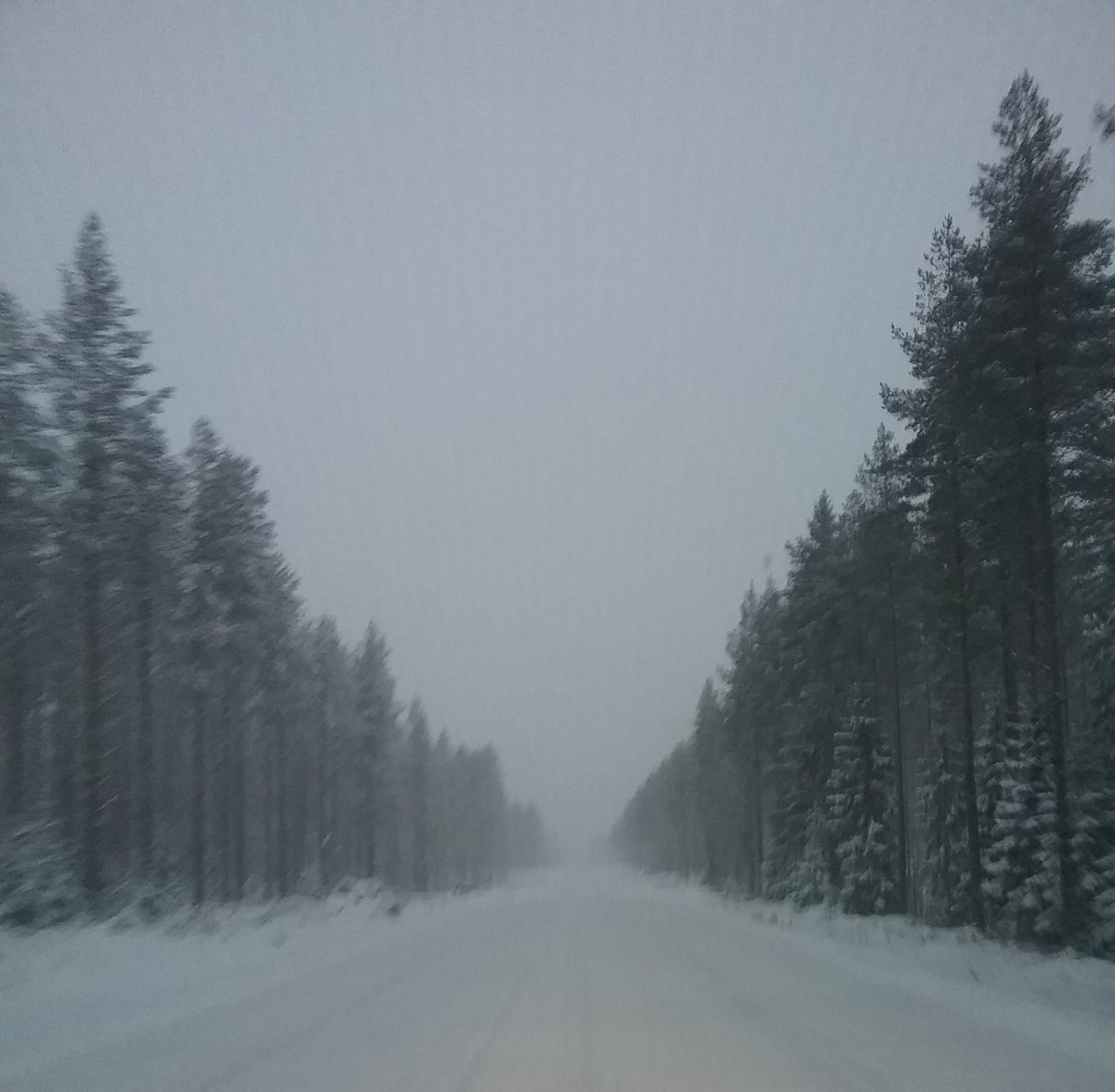 jarvansalo's tweet photo. #vt58 näyttää tältä. #talvi https://t.co/tTUCAyUBRT