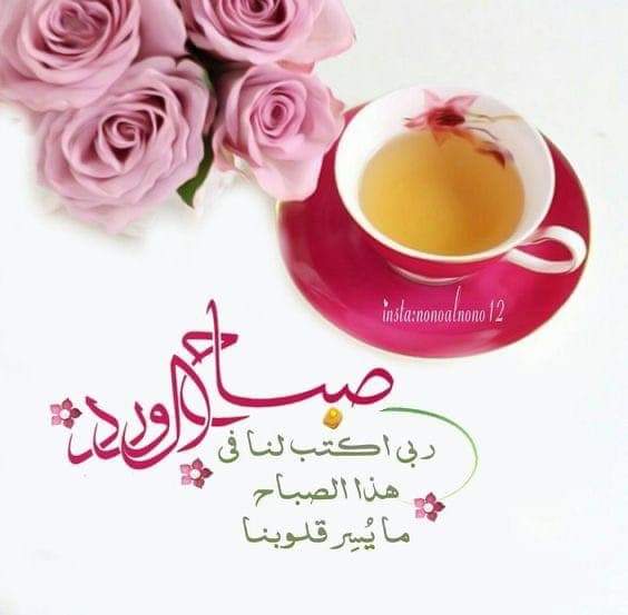 ربي بحجم جمآل جنتك ،
 يسر لنآ مستقبلنآ و حيآتنآ ،
 وحقق لنآ كل ما نتمنآه

#صبـاـاح الخيـر😊