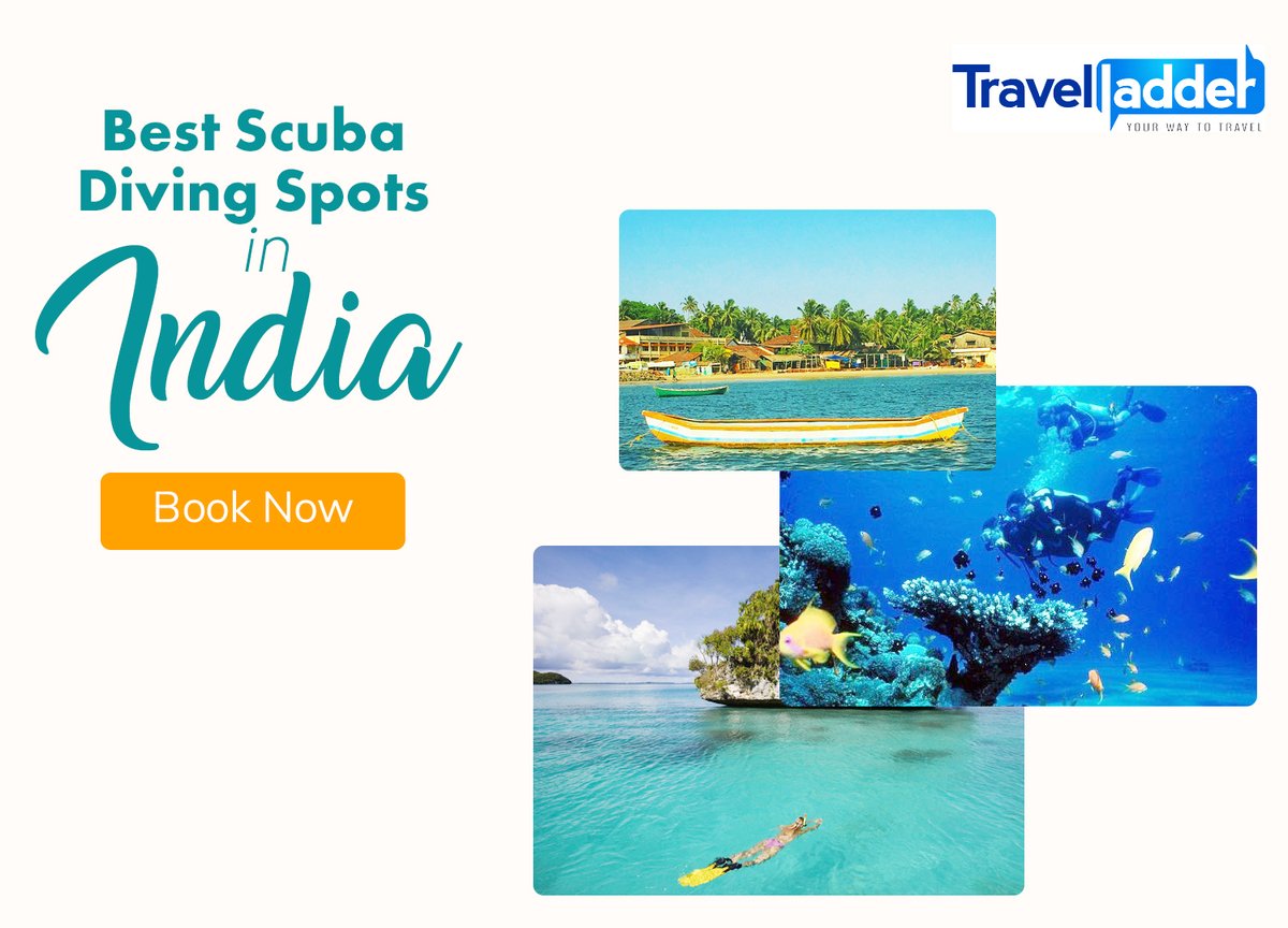 Travelladderr's tweet photo. Your Complete Guide to the Best Scuba Diving Spots in India – Travelladder
Read more ... @ https://t.co/OMoiXzHleS
#himachalpradesh #himalayas #kulumanali #travellader #wintervaction #dreamvaction #traveltime #travelphotography https://t.co/5Y9LnqoLnb