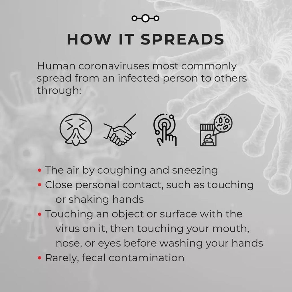 AdvoBarryRoux's tweet photo. All You Need To Know About Corona Virus. #Corona #ChinaCoronaVirus #CoronaVirus https://t.co/uLJBhjh4jI