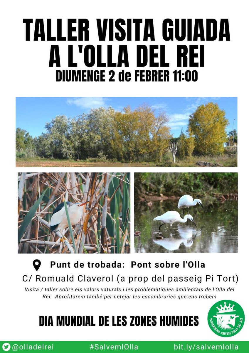 Salvem l'Olla del Rei tweet media