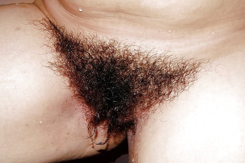 Hairybushpussy's tweet photo. https://t.co/i3ZhlkAtsD