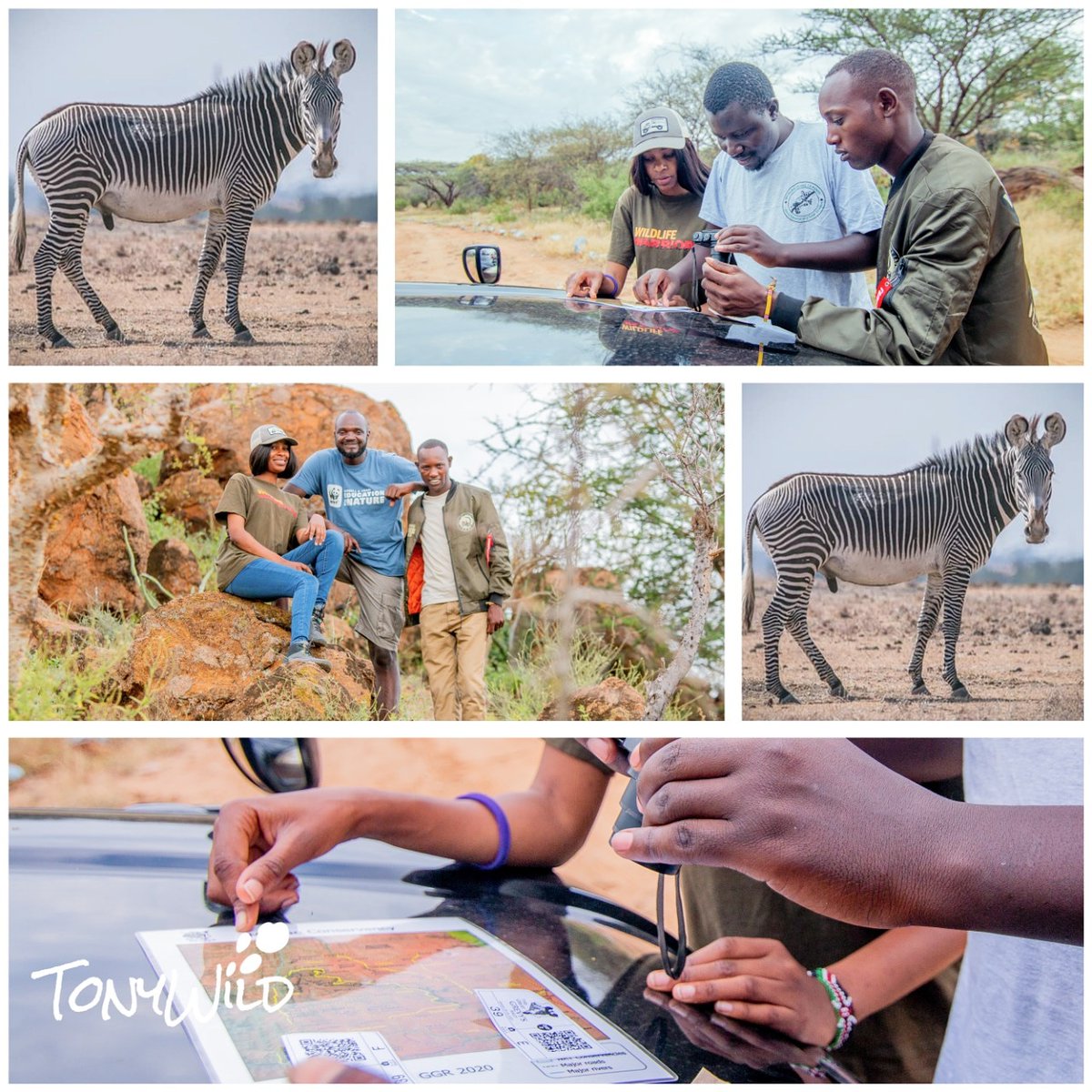 This year, TonyWild team joined the The Great Grevy's Rally, we were allocated a section at Meibae Conservancy and hosted by Action for Cheetahs in Kenya 

#GGR2020