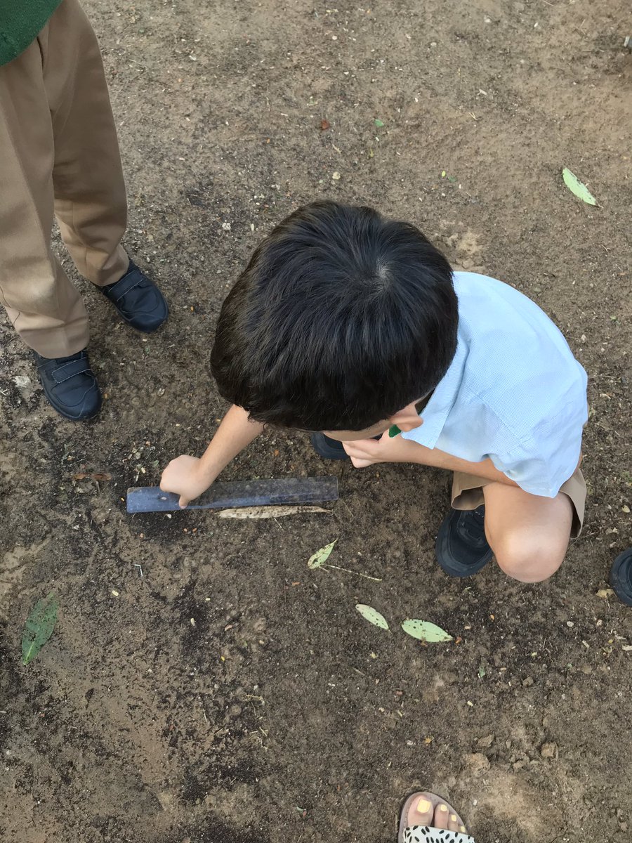 ArborYear1's tweet photo. Today we measured how many centimetres long the leaves in the garden are... #arboryear1 #arbormaths https://t.co/q1QELhPkjM