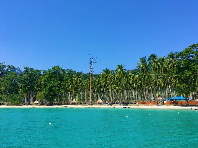 NITIAayog's tweet photo. ๐บ- #IncredibleIslandsOfIndia, mother nature's best-kept secret!
๐- Inviting RFQ applications for the #sustainable development of eco-tourism resorts in -
๐- Long Island, Smith Island, Aves Island & Shaheed Dweep
๐- Apply before 31st Jan, 3PM
๐- https://t.co/TshLHlJ56N https://t.co/LkBeejxzKx