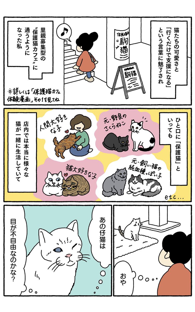 蘭木流子 2 10新刊発売 No Twitter 保護猫カフェの漫画 続編を描きました 保護猫カフェ体験漫画 その2 全4ページ 心春ちゃんのお話 保護猫 保護猫カフェ 駒猫 体験漫画 体験マンガ コミックエッセイ エッセイ漫画 猫漫画 猫マンガ ねこ