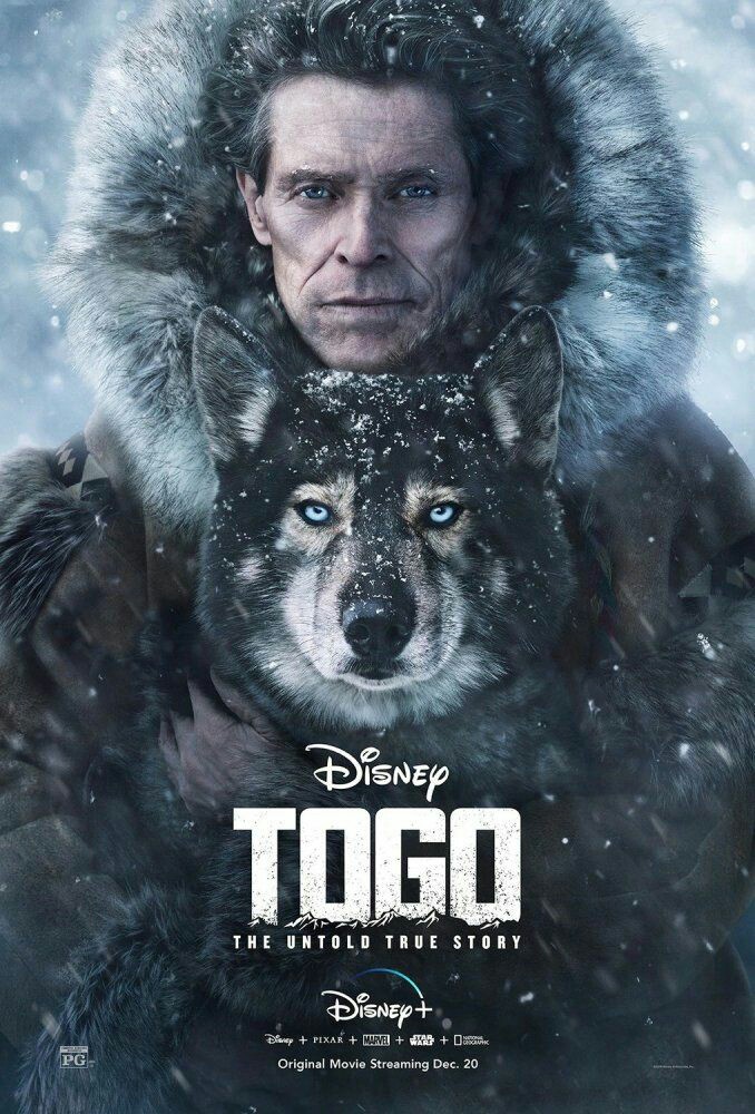 zenfiraphile's tweet photo. Thanks @Disney for introducing Togo. It showed that heroism is not peculiar only people #Togo ❤️❤️ #WillemDafoe #disney #heroanimals https://t.co/M2vYX3WAs7
