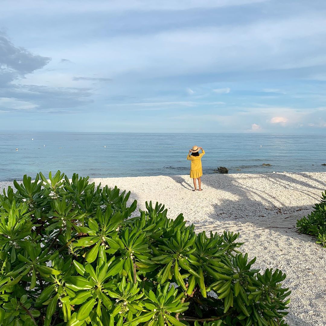BlueSumilon's tweet photo. “In still moments by the sea, I find me.”⁣
⁣
Plan your stays at https://t.co/UzTKa7dyn4⁣, see you! 
⁣
Repost from @traveler.eye⁣
⁣
#HomeIsBluewater #BluewaterResorts https://t.co/AZ7wzdyJl5