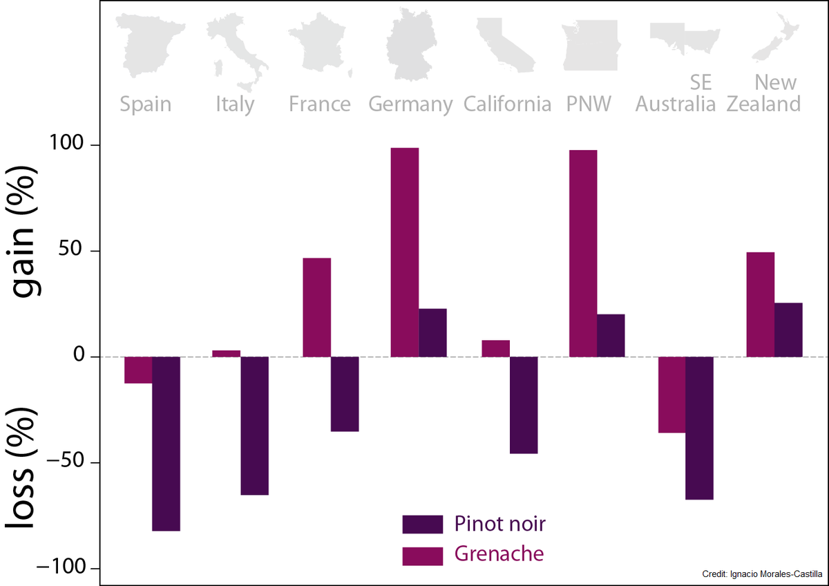 IGarCotAt's tweet photo. Our New Paper in @PNASNews :  Winegrowers could decrease somewhat climate change impact by using Grape Varieties diversity @INRAE_France @INRAE_PACA #UMRAGAP     https://t.co/6xE6lH9am5 https://t.co/4yVPAtVyof