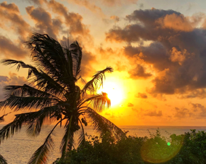 AsteroidHQ's tweet image. Asteroid International launches Internet hub in Mombasa, Kenya!
asteroidhq.com/news/128
Get in touch &amp;amp; connect to the new regional hub in East Africa!
peering@asteroidhq.com

#IXP #peering #Mombasa #Kenya #EastAfrica @icoloio