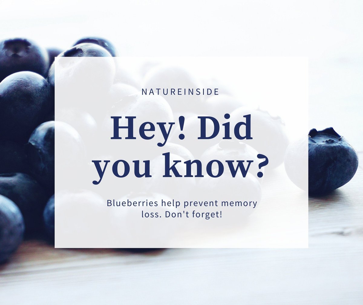 Nature Inside 18 tweet media