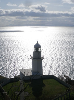 ほっとあいず（＝道海）™ tweet media