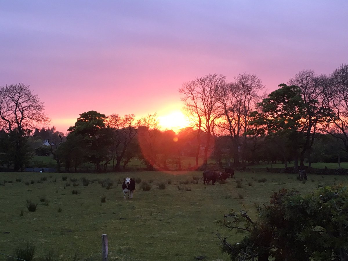 Day 3 of my life in 7 pictures
Rules: no words, no people.
Challenge someone new each day. 
I was challenged by <a href="/Cousins_Gary/">Gary Cousins</a>. Today I challenge <a href="/Susancooke17/">Susan cooke</a>