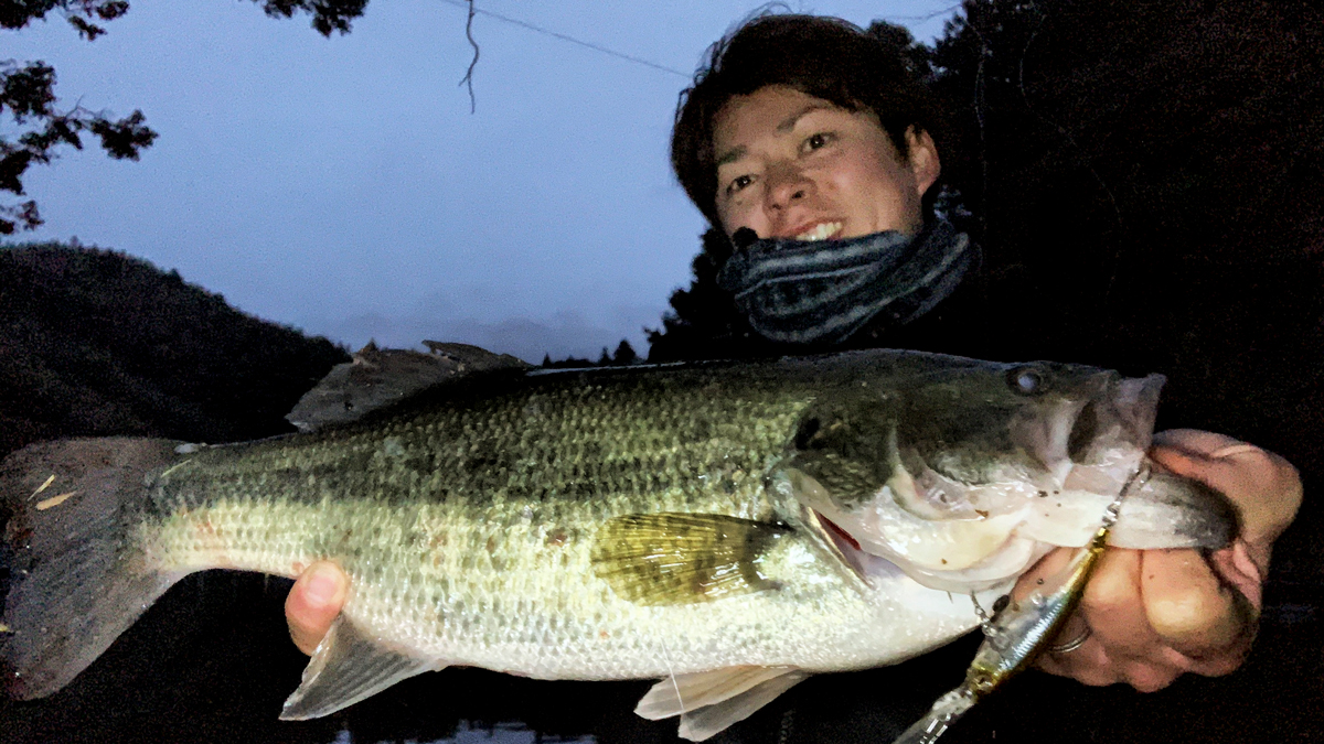 megabass_jp's tweet photo. 【Megabass Blog】2020年初バス!~苦戦の1月を振り返る~
Megabassスタッフ 狩野 陽
https://t.co/w8RP7fohos
#megabass #mymegabass #lurefishing #destroyer #shadingx #バス https://t.co/WyLdwZ70iJ
