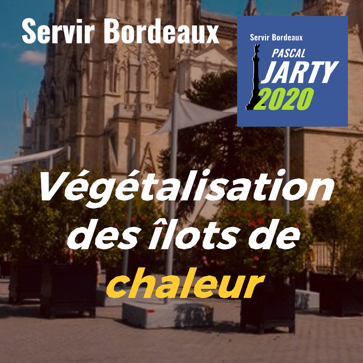 JARTYPascal's tweet photo. Lettre ouverte à Bordeaux
Une volonté, un projet, une nouvelle ambition pour notre ville.
Avec SERVIR BORDEAUX
https://t.co/vyY8lwI34t
#municipales2020 #servicepublic #pascaljarty #bordeaux #bordeauxmaville #ecologie #arbres #betonisation https://t.co/UAOMgkNnog