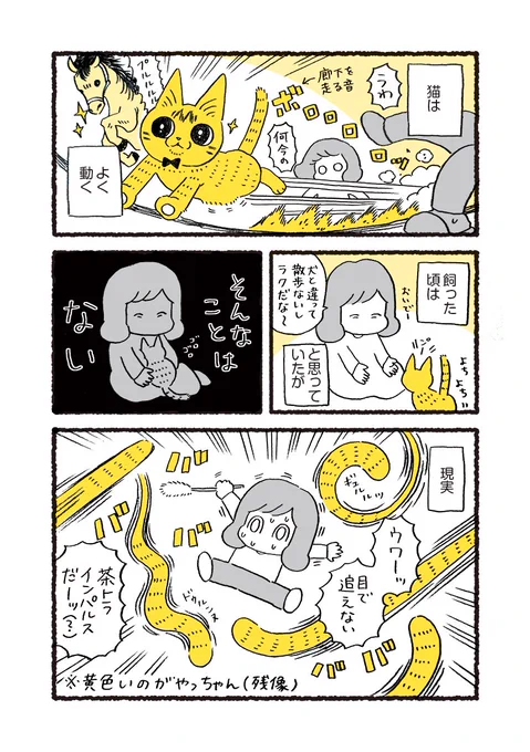 猫を飼ったら運動量が想像以上だった 