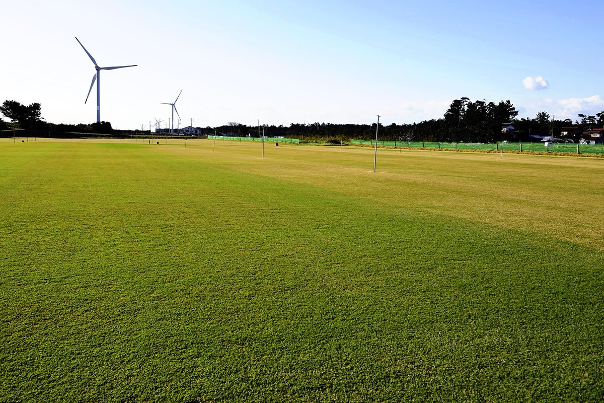 The_Japan_News's tweet photo. Tottori Prefecture provides high-quality lawn grass across the country and Tottori-grown lawn grass will be used at the new National Stadium for the 2020 Tokyo Olympics.
#Tottori #grasslawn #NationalStadium #TokyoOlympics #Encho-en #RugbyWC
https://t.co/VEKtFRZgTi https://t.co/yj0I9RxtVe