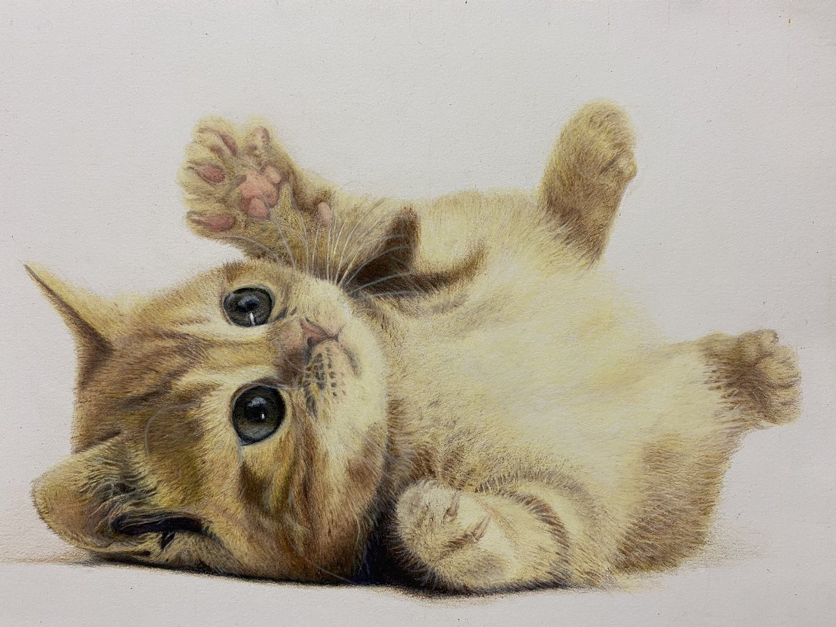 Twoucan 可愛い子猫の絵 の注目ツイート イラスト マンガ コスプレ モデル