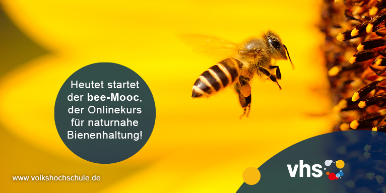 Deutscher Volkshochschul-Verband (DVV) tweet media