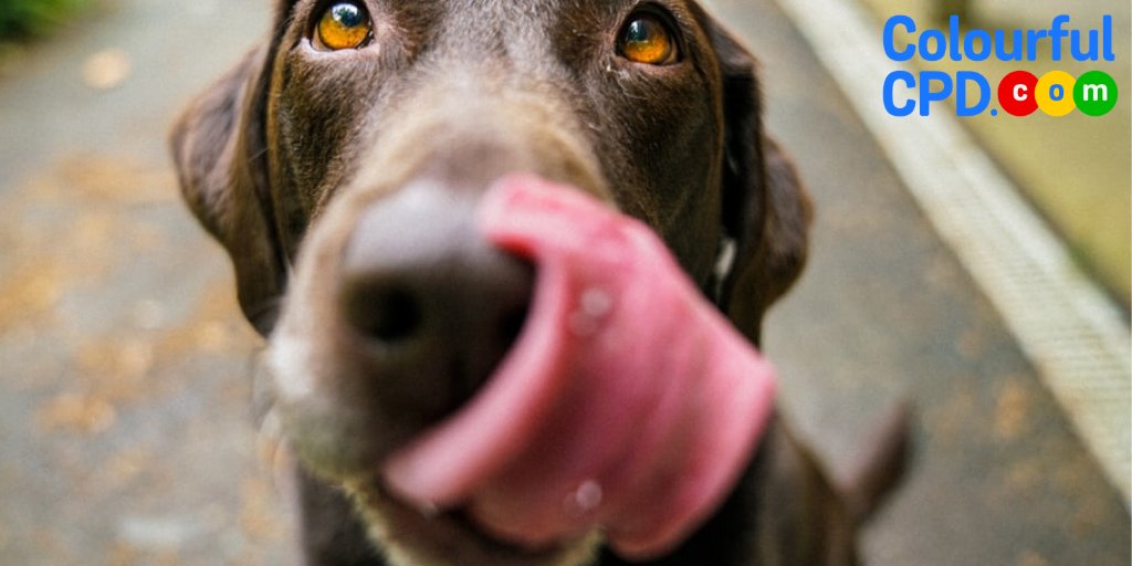 ColourfulCPD's tweet photo. #TongueoutTuesday https://t.co/zIKXO82Han