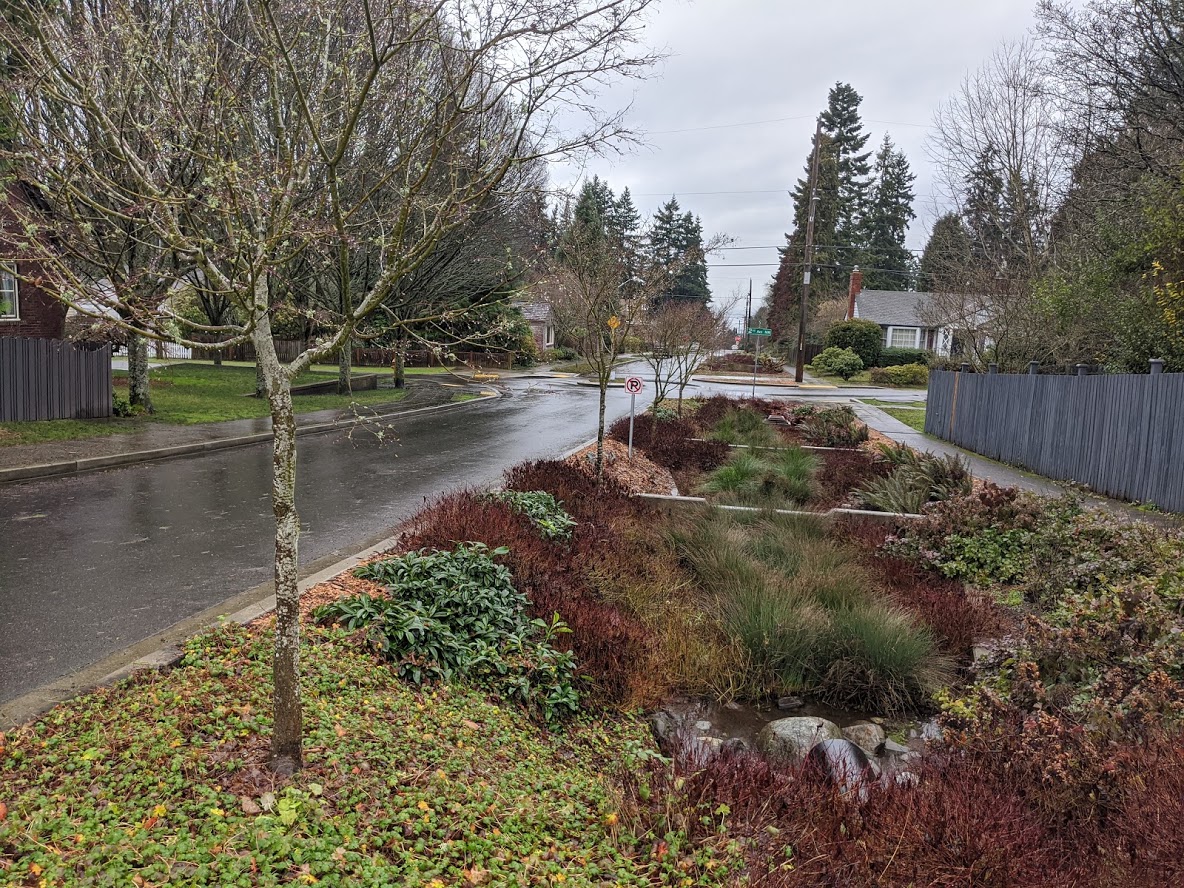 Stormwater calming street