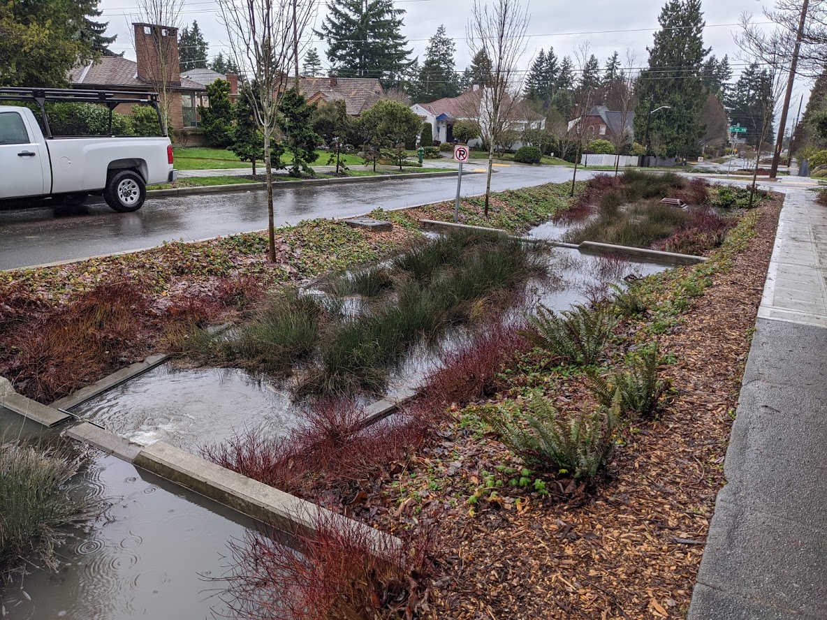 Stormwater calming street