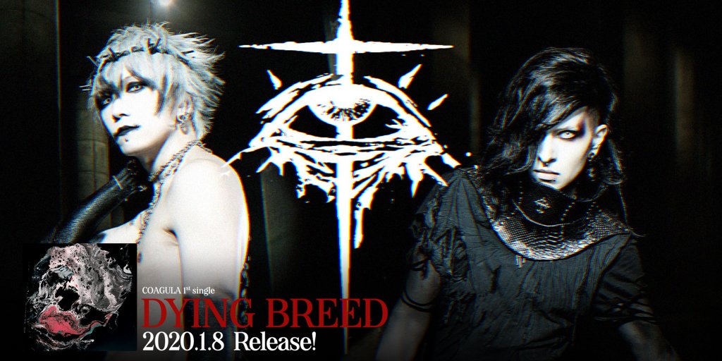 COAGULA「DYING BREED」
.
►Musicvideo Youtube: youtu.be/YyJOqk_LLss
►Apple Music: music.apple.com/jp/album/dying…
►Amazon Music: amazon.co.jp/Dying-Breed/dp…
►Spotify: open.spotify.com/artist/1XyrRUL…
.
#coagula #visualkei