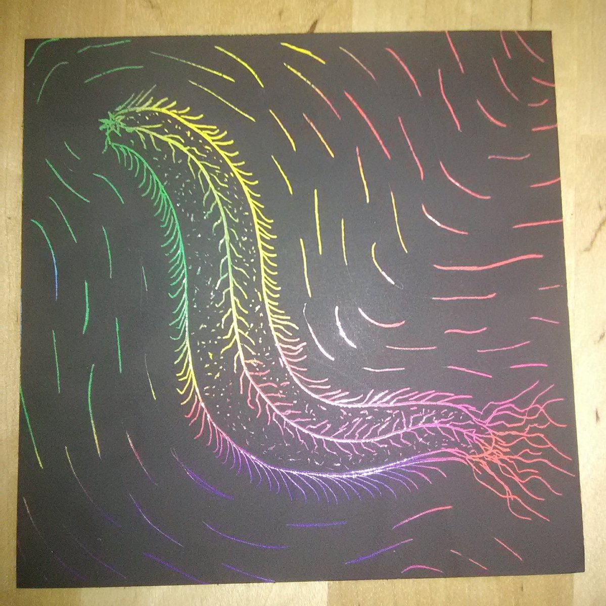 Black background with rainbow gradiant revealed in scratches. Pictured sketch is a long speckled sea cucumber type creature. Three lateral lines are visable running the length of the long cylindrical body from which protrude short tendril fronds. At one end is an 8point star shape, at the other a mass of longer tendrils. The creatures shape is echoed in surrounding dashed lines representative of unusual waves.