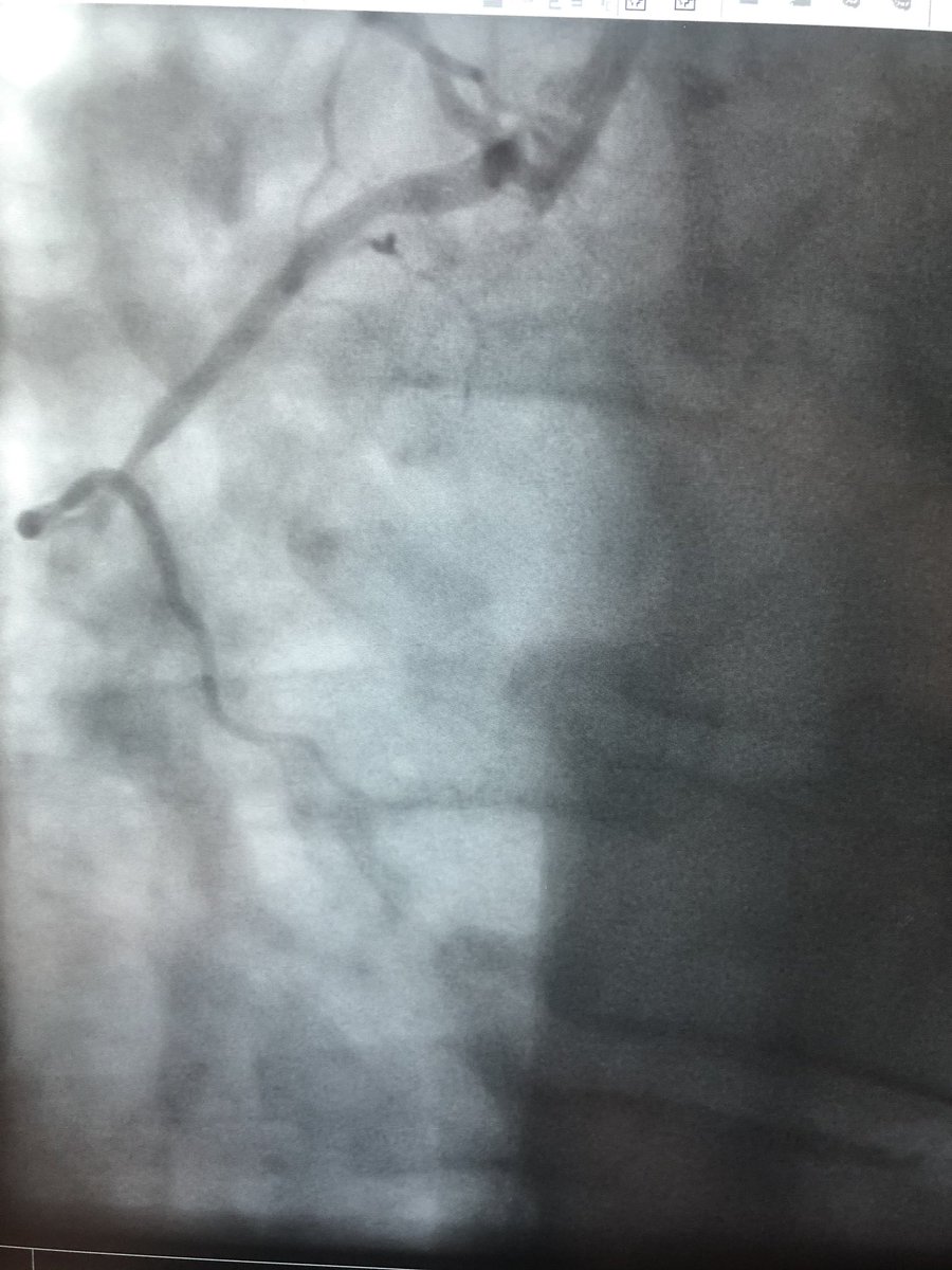 Victor Dayan tweet media