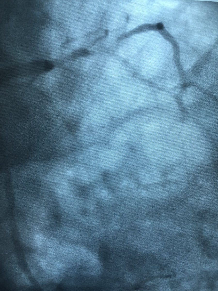 Victor Dayan tweet media