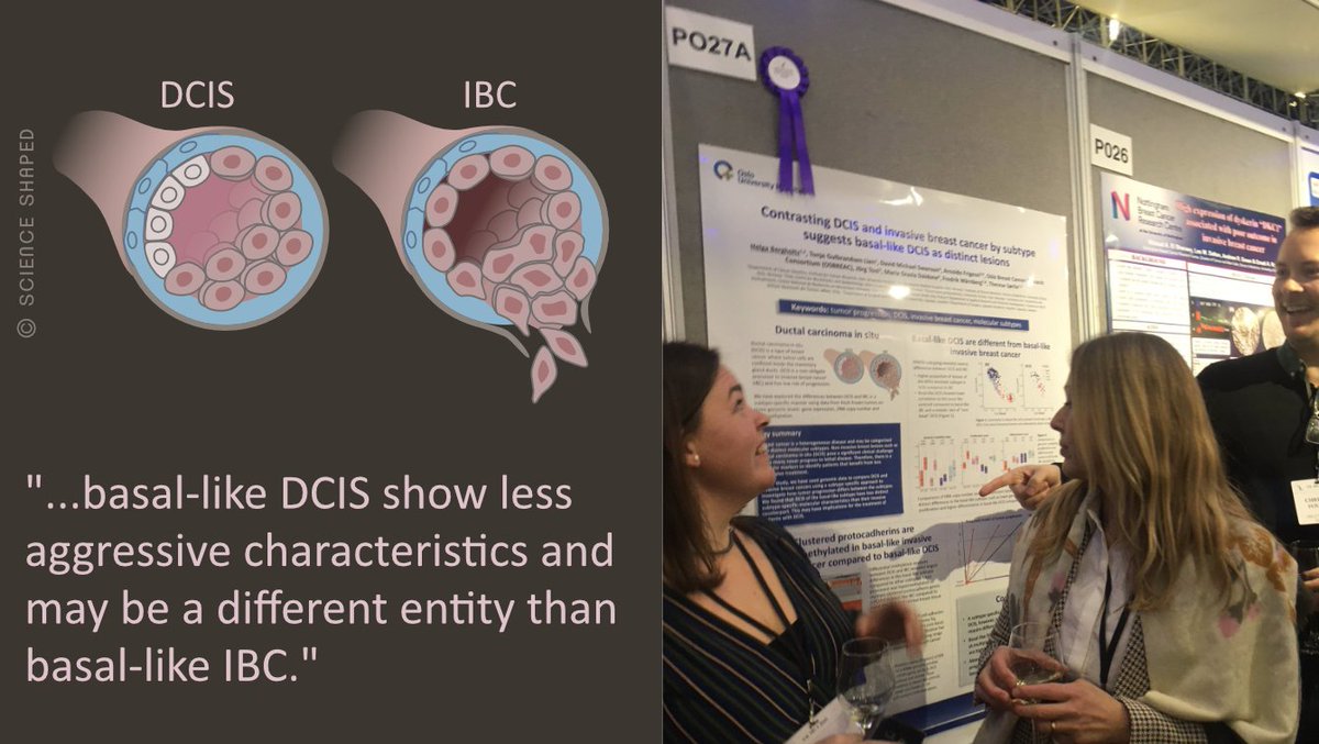 EllenTenstad's tweet photo. 👏Congrats to Helga Bergholtz, Therese Sørlie &amp; coworkers, receiving clinical #posterprice!
At BC symposium organised by @uk_ibcs
#ukibcs2020 #breastcancer #DCIS
🖌️#ScienceShaped

🔗Poster here: https://t.co/oBlgFerDoU https://t.co/9A7h2GXcfW