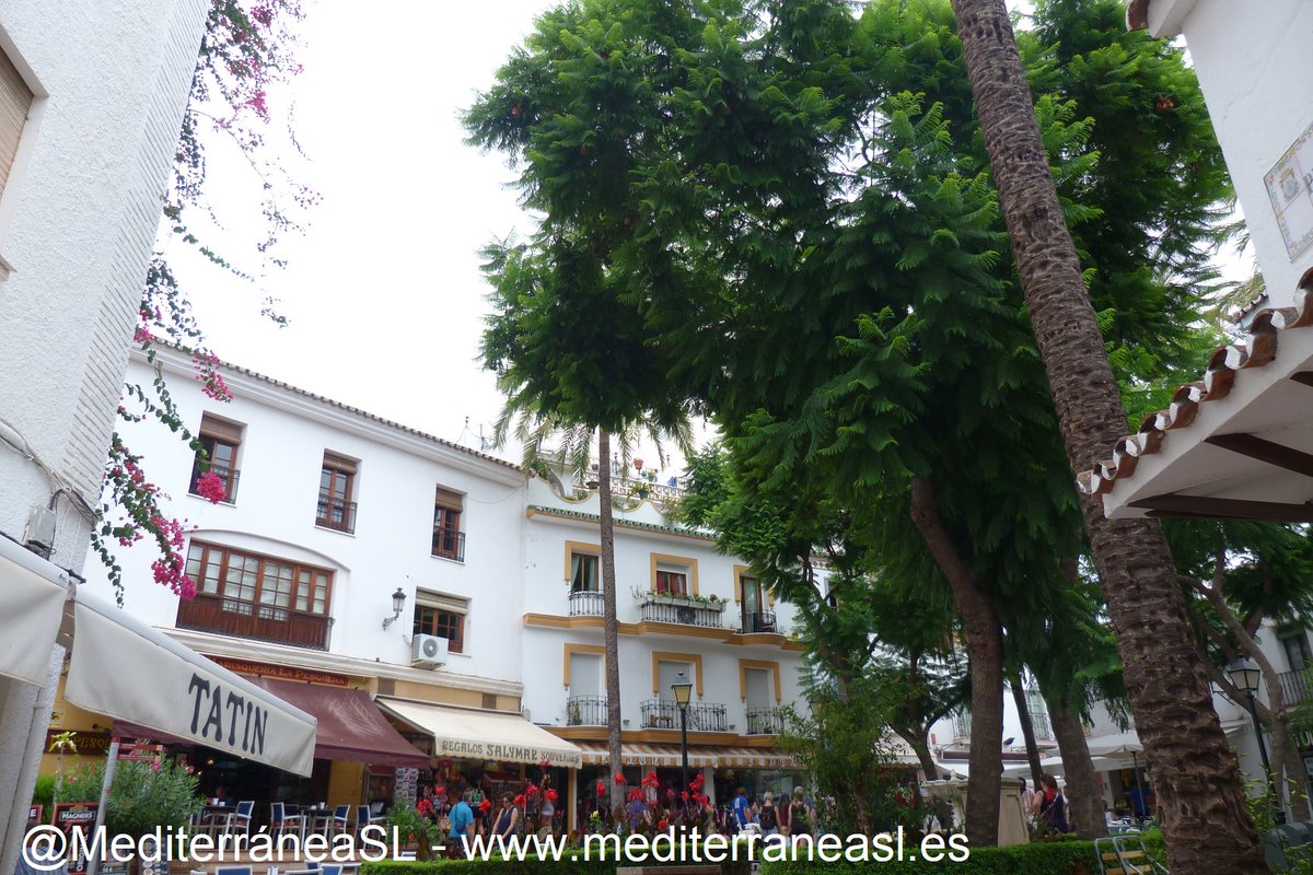 mediterraneasl's tweet photo. #FelizMartes desde la #CostaDelSol
#MediterraneaSL #IniciativasYPromocionesTurísticas
#ExcursionesParaGrupos https://t.co/YfkVOwFwD7